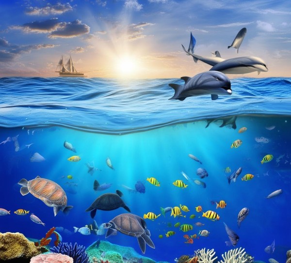 金盛海洋科技，创新驱动引领海洋经济发展新引擎